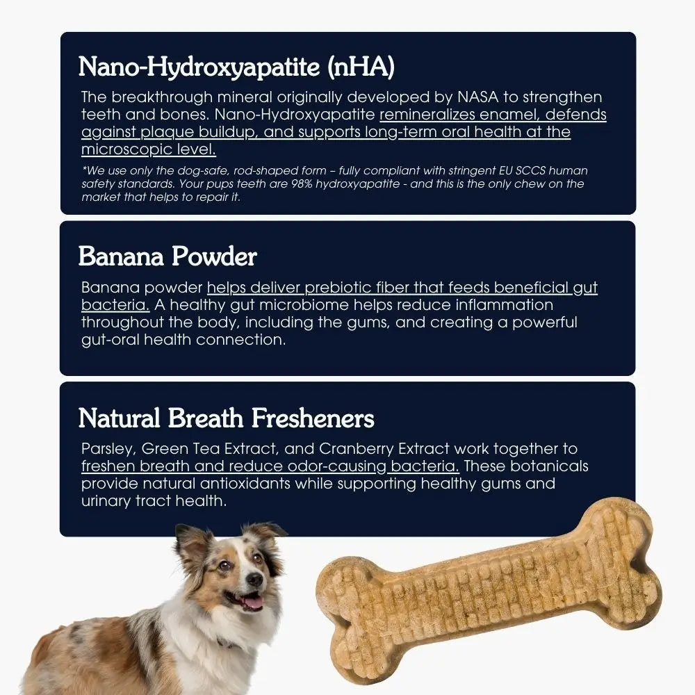 Daily Dog Dental Chews – Fresh Breath & Tartar Control