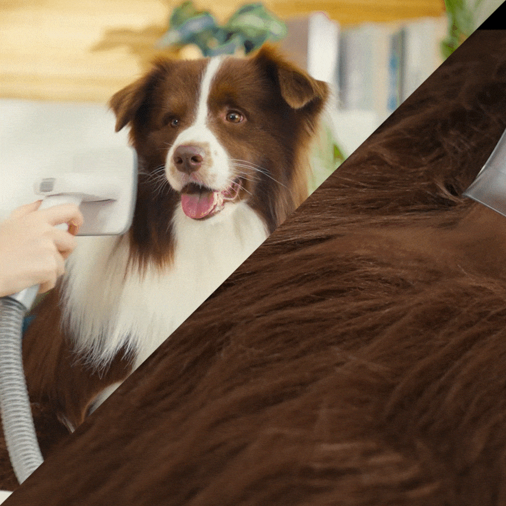 7-in-1 Pet Grooming Vacuum – All-in-One Grooming Kit