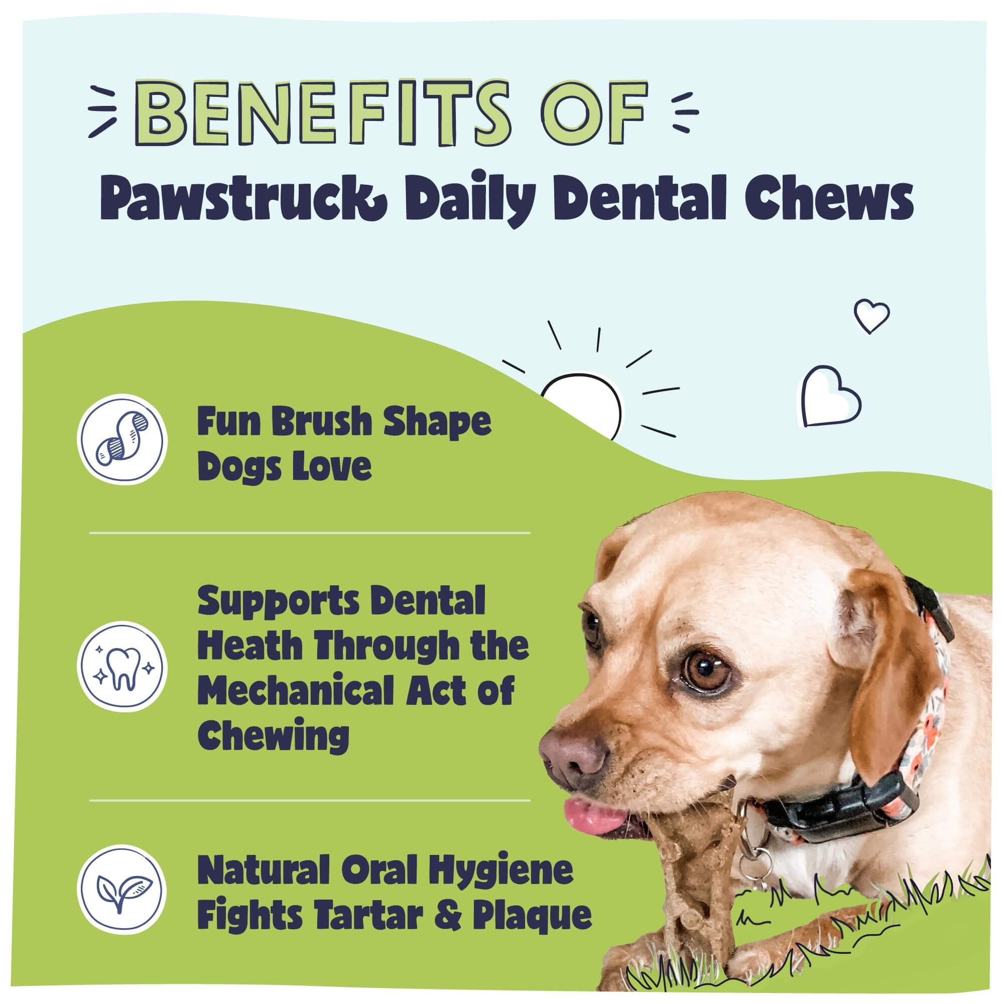 Dog Daily Dental Chew Brush – Effective Oral Care for Dogs