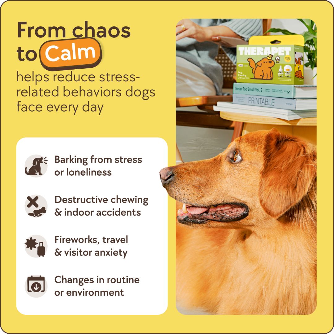 Dog Refills for Pain Relief & Comfort – Effective Joint Support