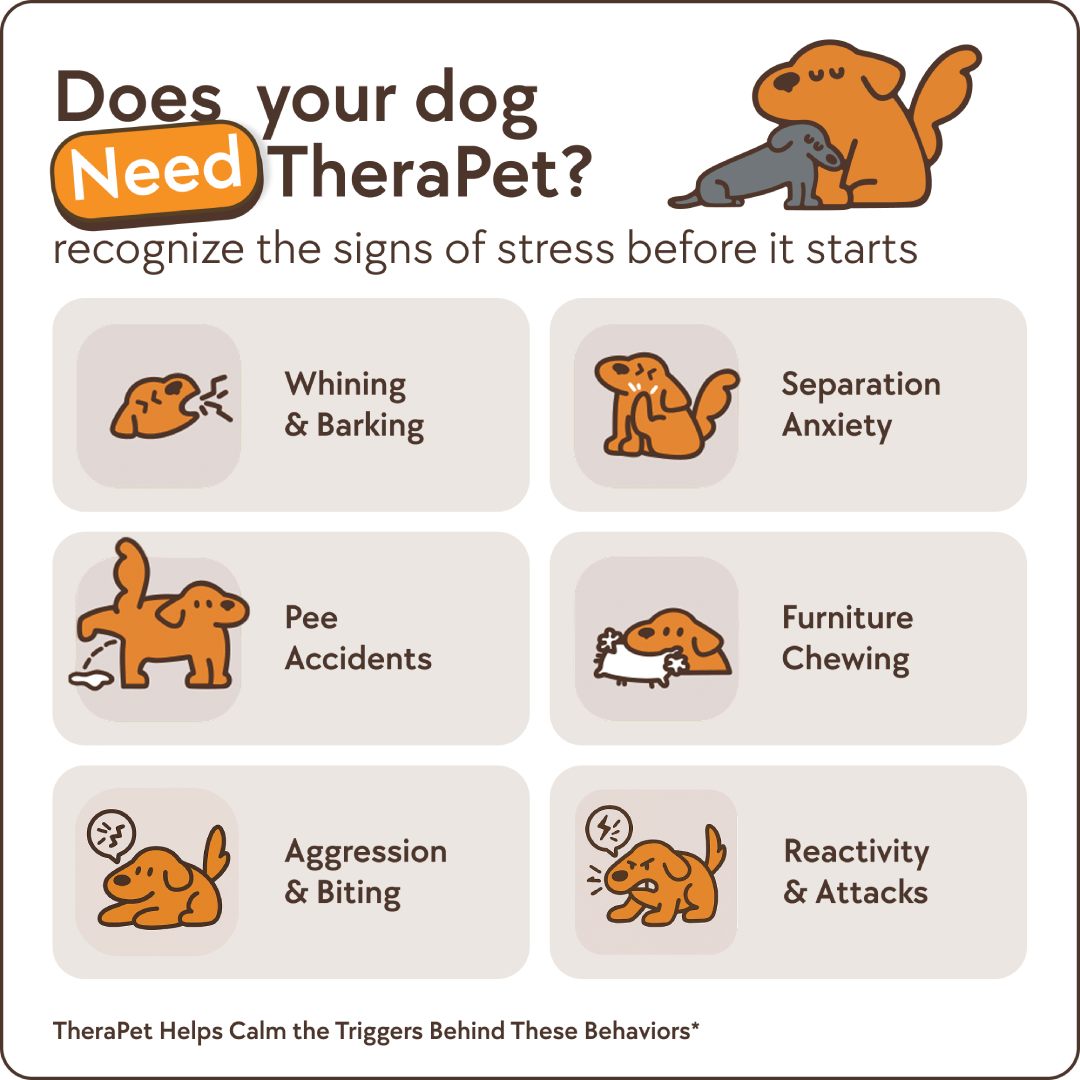 Dog Refills for Pain Relief & Comfort – Effective Joint Support