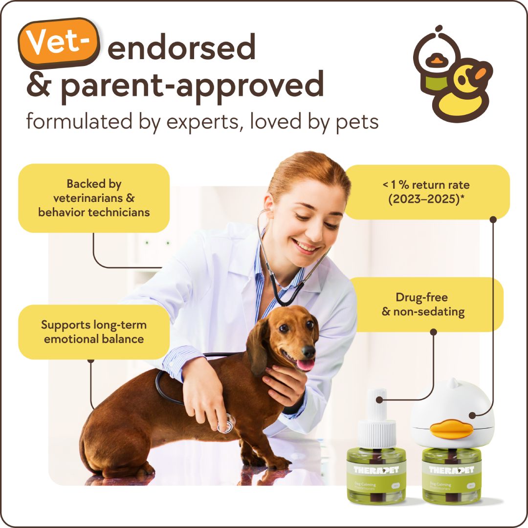 Dog Refills for Pain Relief & Comfort – Effective Joint Support